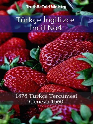 cover image of Türkçe İngilizce İncil No4